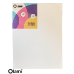 OLAMI ARTISTICO- BASTIDOR PROFESIONAL TELA 03 40x80 BAS108